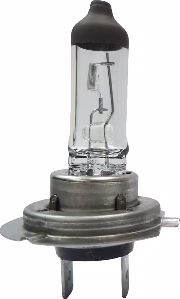 Ampoule H7 24V 70W PX26d Robuste Longue Durée · réf. B2438