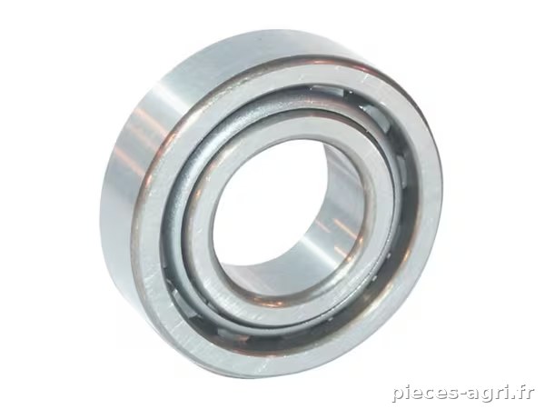 Roulement à rouleaux cylindriques 20x52x14mm INA/FAG · réf. NJ304ETVP2