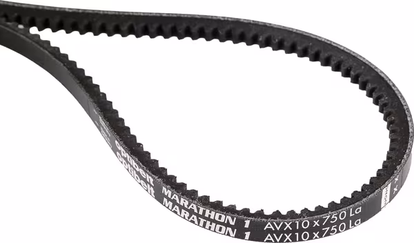 Courroie · réf. AVX10750
