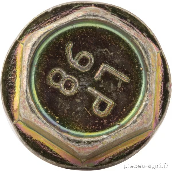Vis vue 4