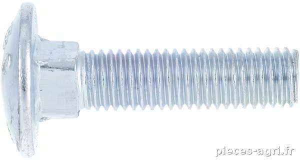 Vis TRCC DIN603 M10x20 inox A2 · réf. 6031020RVSP050