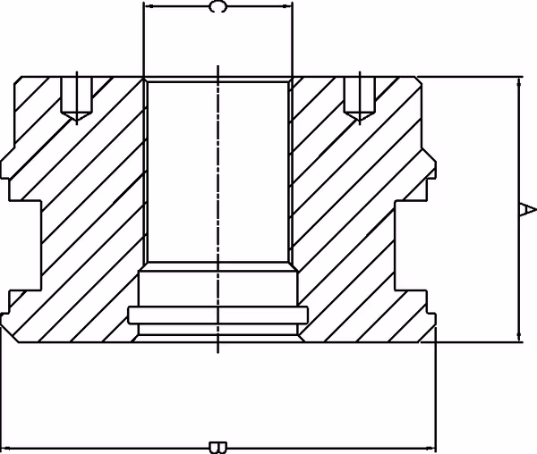 Piston DS25 alés. 125 vue 2