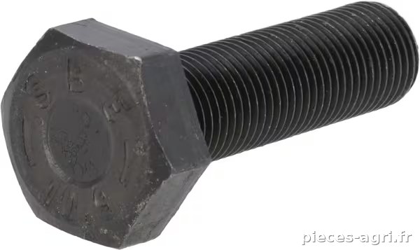 Boulon hexagonal · réf. 06209713