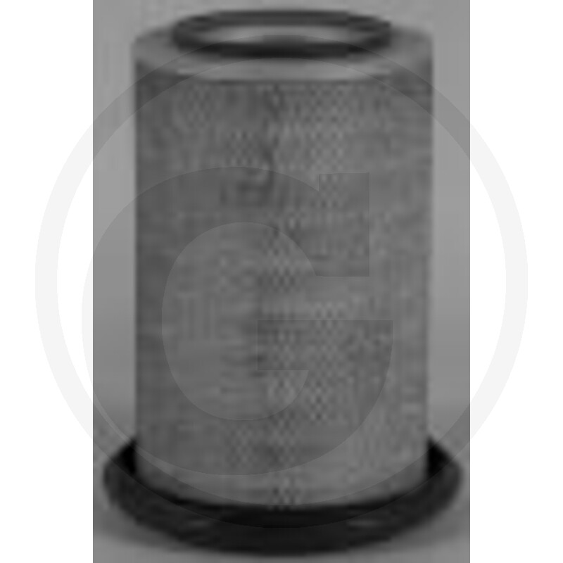 Fleetguard Luftfilter vue 2