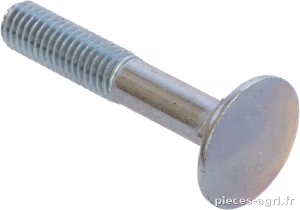 Vis TTQST M8x45 UNI 5731 zingué · réf. 416096