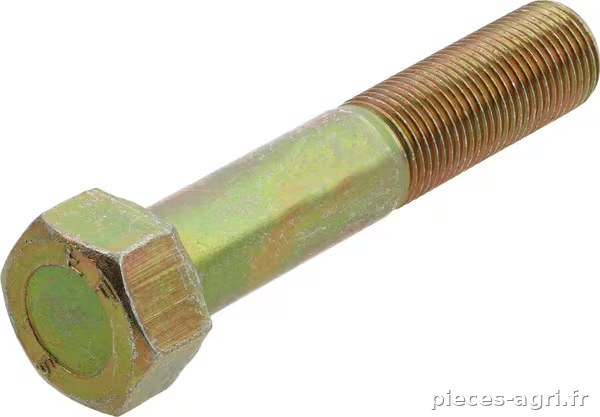 Boulon d'essieu avant · réf. 1860268M1N