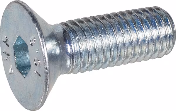 Boulon · réf. 9924123519