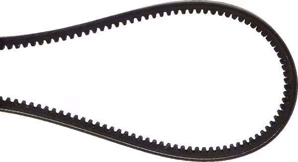 Courroie trapézoïdale · réf. 01181076
