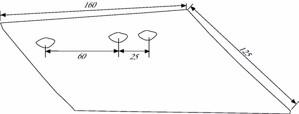 Soc de rasette ZD D. vue 2
