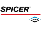 Dana Spicer