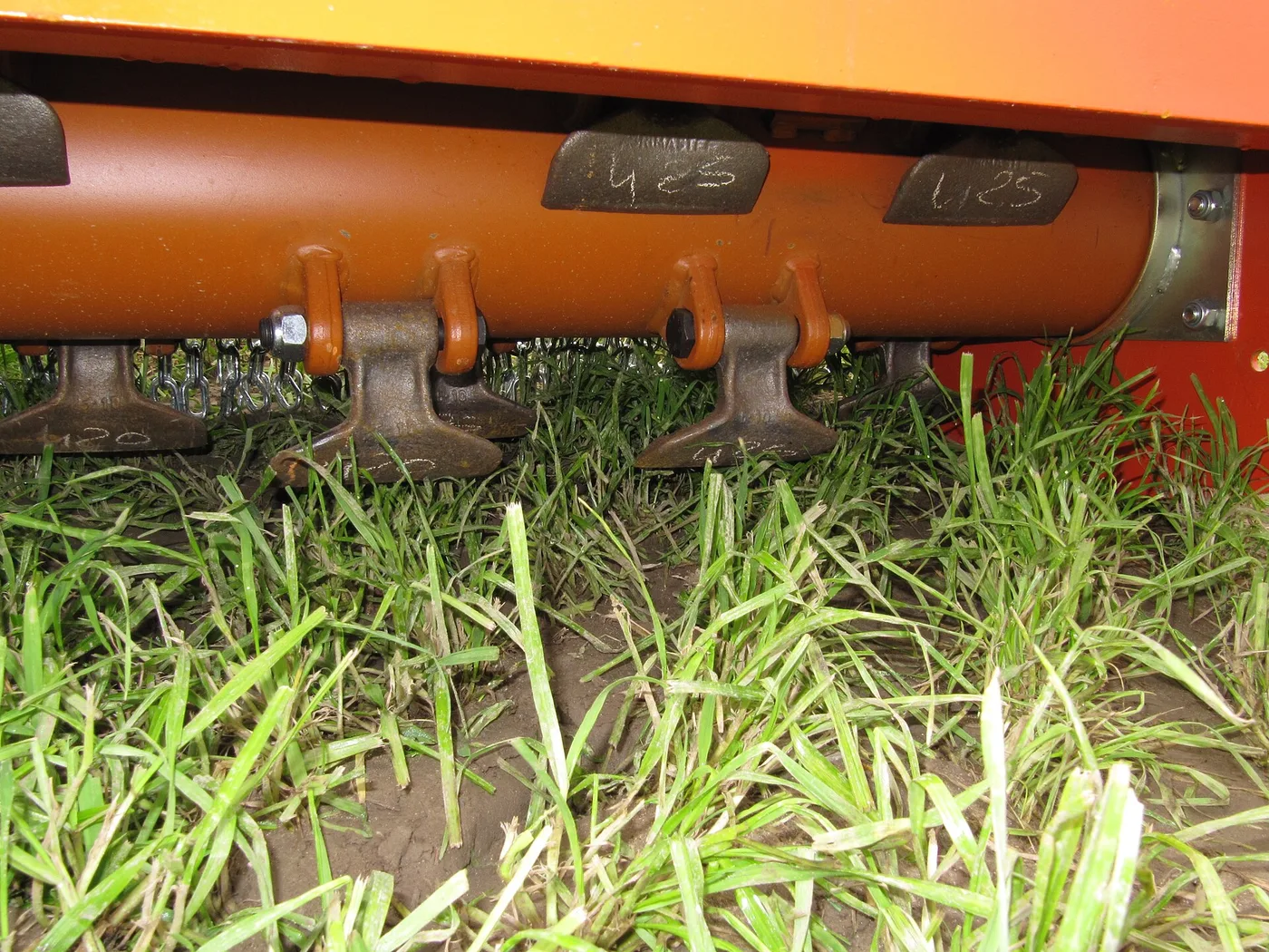 Rotor de broyeur à fléaux vu de dessous, fléaux articulés sur leurs chapes