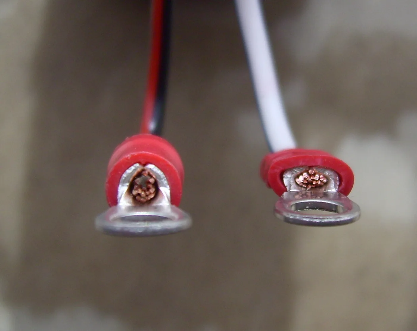 Deux cosses à œillet serties sur des fils électriques, manchons isolants rouges